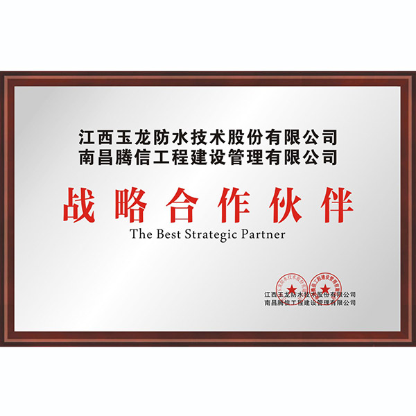 戰略合作
