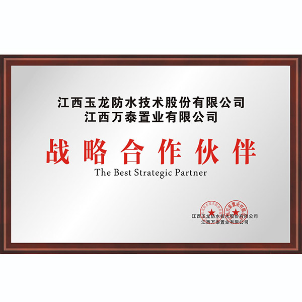 戰略合作