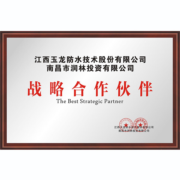 戰略合作